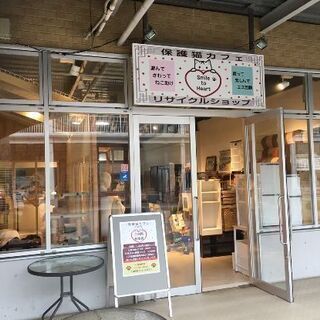 保護ネコカフェ&リサイクルショップ(新規リニューアルオープニング)の画像