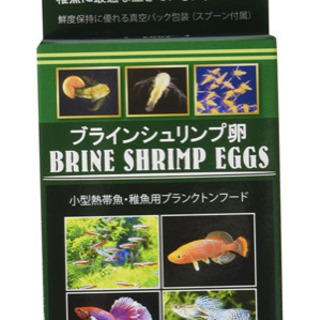 【未開封品‼️】ブラインシュリンプ卵　20g-ニチドウ