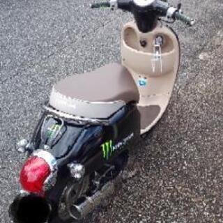 原付  ホンダ  ジョルノの画像