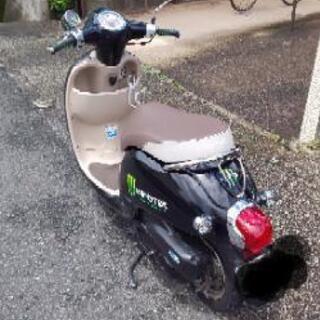 原付  ホンダ  ジョルノの画像