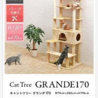 猫タワーの画像