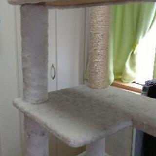 猫タワーの画像