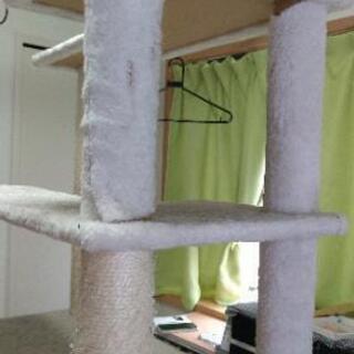 猫タワーの画像