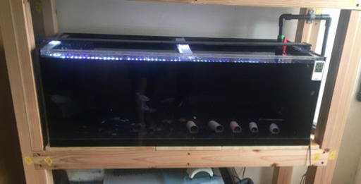 アクリル水槽　オーバーフロー水槽