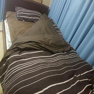 ニトリ 🛌収納付きシングルベット (。-ω-)zzzの画像