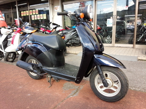 NO.3345　トゥデイ （ＴＯＤＡＹ）　４サイクルエンジン　ネイビー　☆彡