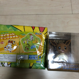 ポケモン2点セット！！