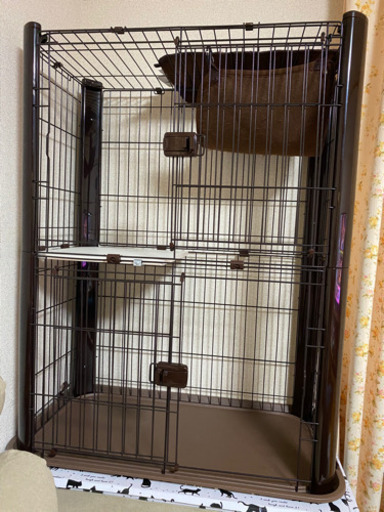 子猫　お出迎えセット