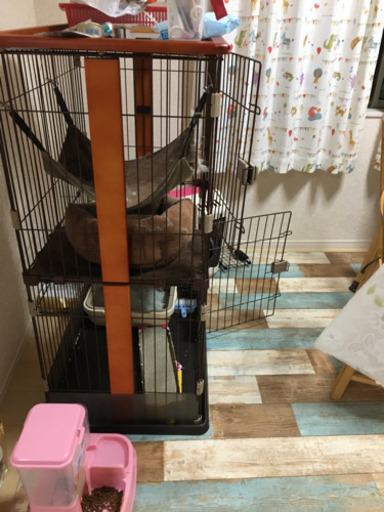 猫ケージ　　取引中