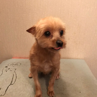 決まりました。ありがとうございました。