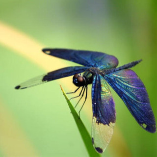 マンツーマンシューレの画像