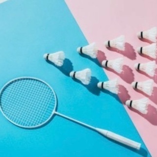 荒尾、玉名郡市でバドミントンサークルを探しています🏸