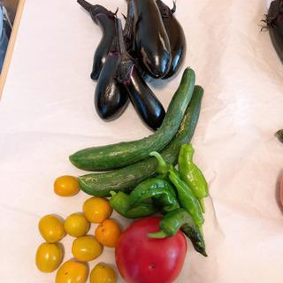 夏野菜 ブルーベリー お譲りします【無農薬新鮮野菜】①の画像