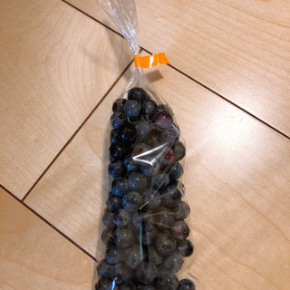 夏野菜 ブルーベリー お譲りします【無農薬新鮮野菜】①の画像