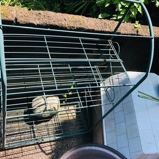 🌺ガーデンラック