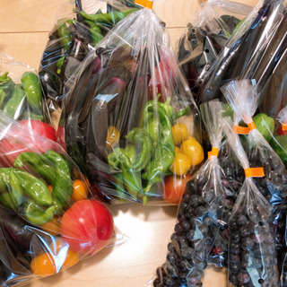 夏野菜 ブルーベリー お譲りします【無農薬新鮮野菜】①の画像