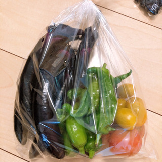 夏野菜 ブルーベリー お譲りします【無農薬新鮮野菜】①の画像