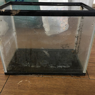 水槽　小