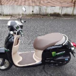 原付  ホンダ  ジョルノの画像