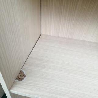 カラーボックス　収納　ワケアリの画像