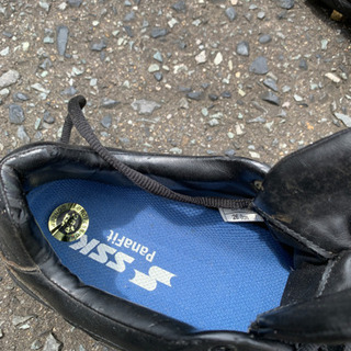 野球用スパイクシューズの画像