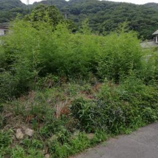 草刈り作業 - 地元のお店