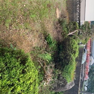 無料　庭木、庭石、庭土の画像