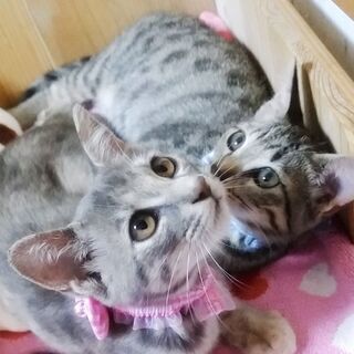 生後4カ月♡慣れっ子姉妹