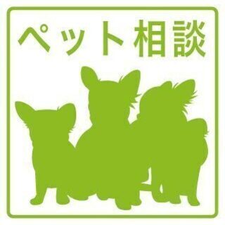 ★お申込済＊有難う御座いました★【元町】■事故物件特集■15000円家賃！！駐車場3000円！！ペットOK・バストイレ別( *´艸｀) - 札幌市