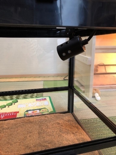 フトアゴ飼育ケージ一式