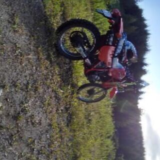 ホンダ　MTX125Rの画像