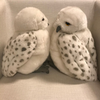 USJ ハリーポッターヘドウィグぬいぐるみパペット（一体500円）の画像