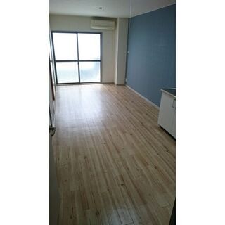 キッチン洗面台取り換え済み♪希少のペットと暮らせるオススメ物件!...