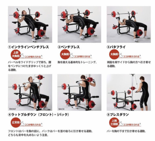 ファイティングロード キングスセット ラット運動 ベンチプレス トレーニングマシン
