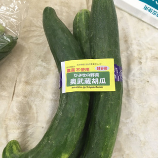 奥武蔵きゅうり