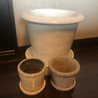 アクタス購入　植木鉢　ACTUS