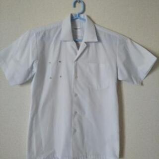男児　中学　夏服　開襟シャツ　160cm