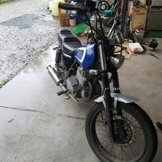 グラストラッカー250
