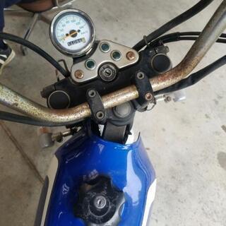 グラストラッカー250の画像