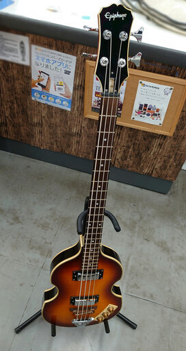 【EPIPHONE】バイオリンベース販売中！