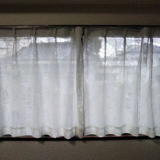 レースカーテンお譲りします。