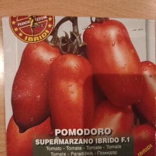 イタリア トマト 苗の画像