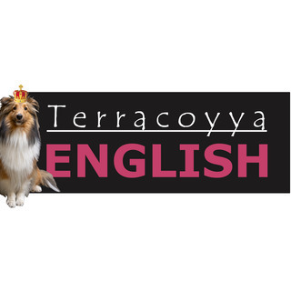 語学教えます【Terracoyya ENGLISH】