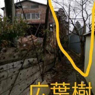 【真竹・広葉樹】【キャンプ、アウトドア】 【薪・焚き火】【千葉県...