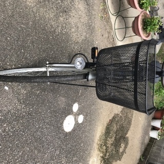 今年三月辺りに買いましたの画像