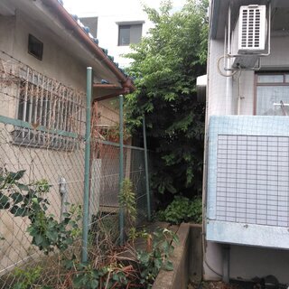 植木、雑草剪定
