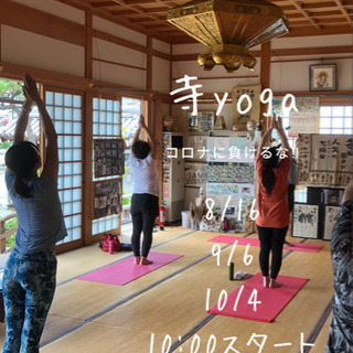 寺ヨガ★次回の日程