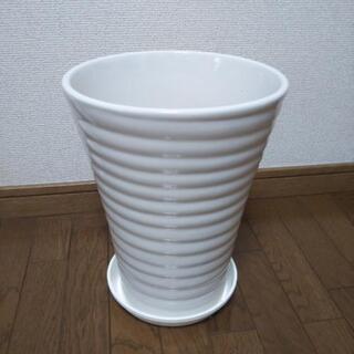 植木鉢 陶器