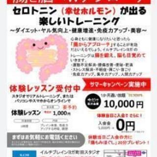 幸せホルモン（セロトニン）が出る楽しいトレーニングの画像
