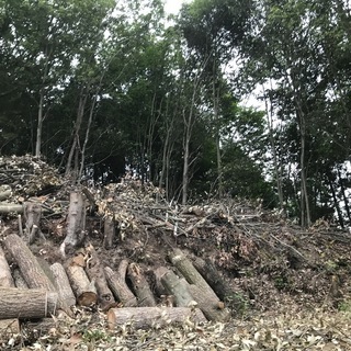 空いている日教えて下さい!!草刈り、剪定、伐採日給7000円～14000円の画像